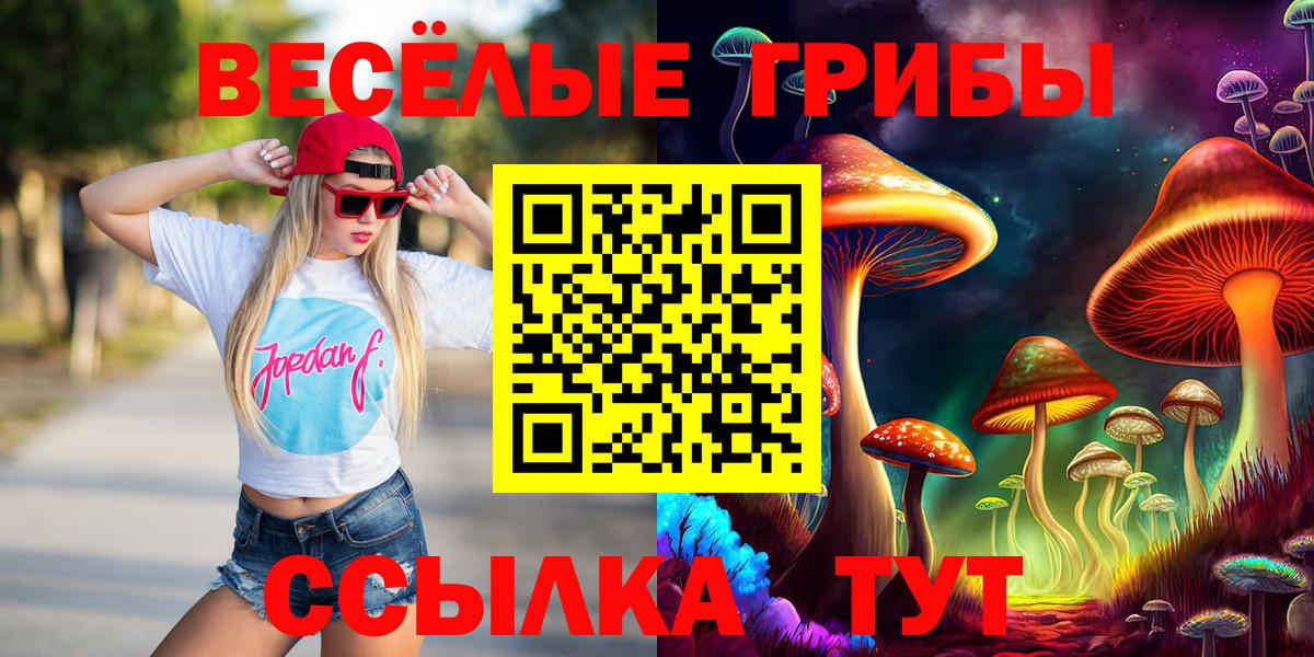 Псилоцибиновые грибы ЛСД  Вход с VPN  Псилоцибиновые грибы мухоморы  Камень-на-Оби 