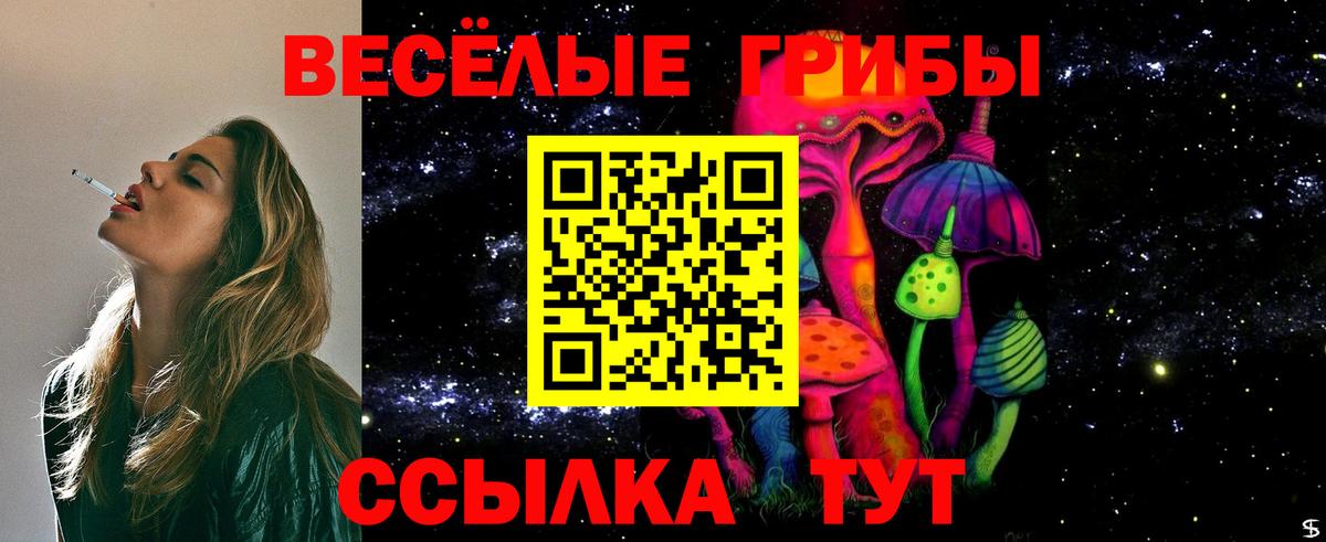 Галлюциногенные грибы Psilocybine cubensis Камень-на-Оби