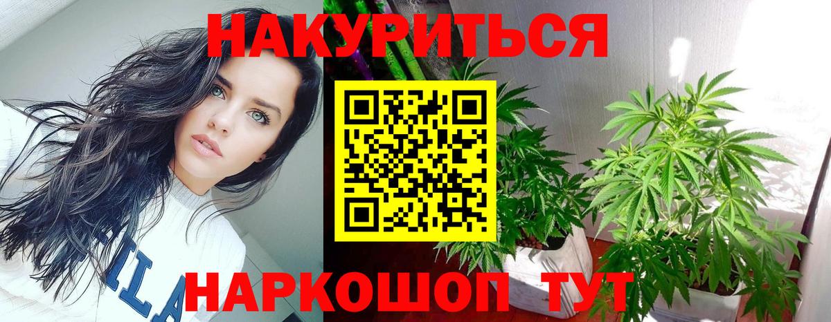 Каннабис гибрид Камень-на-Оби